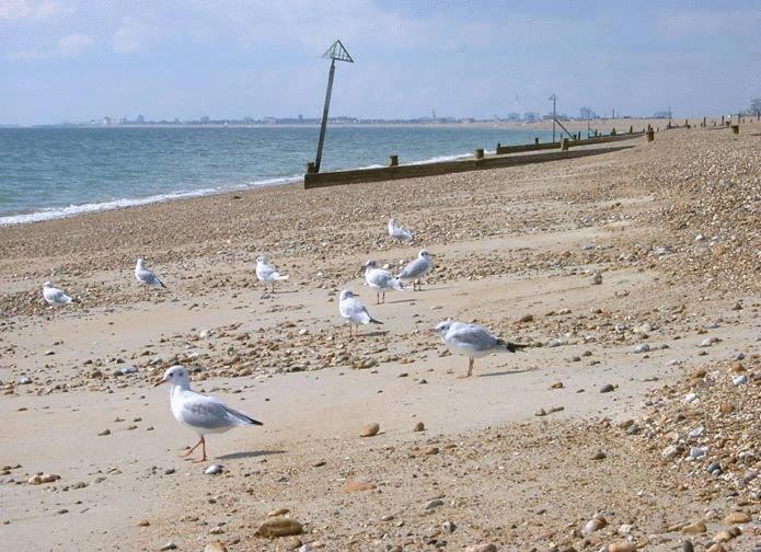 Newtown House Hotel South Hayling Buitenkant foto
